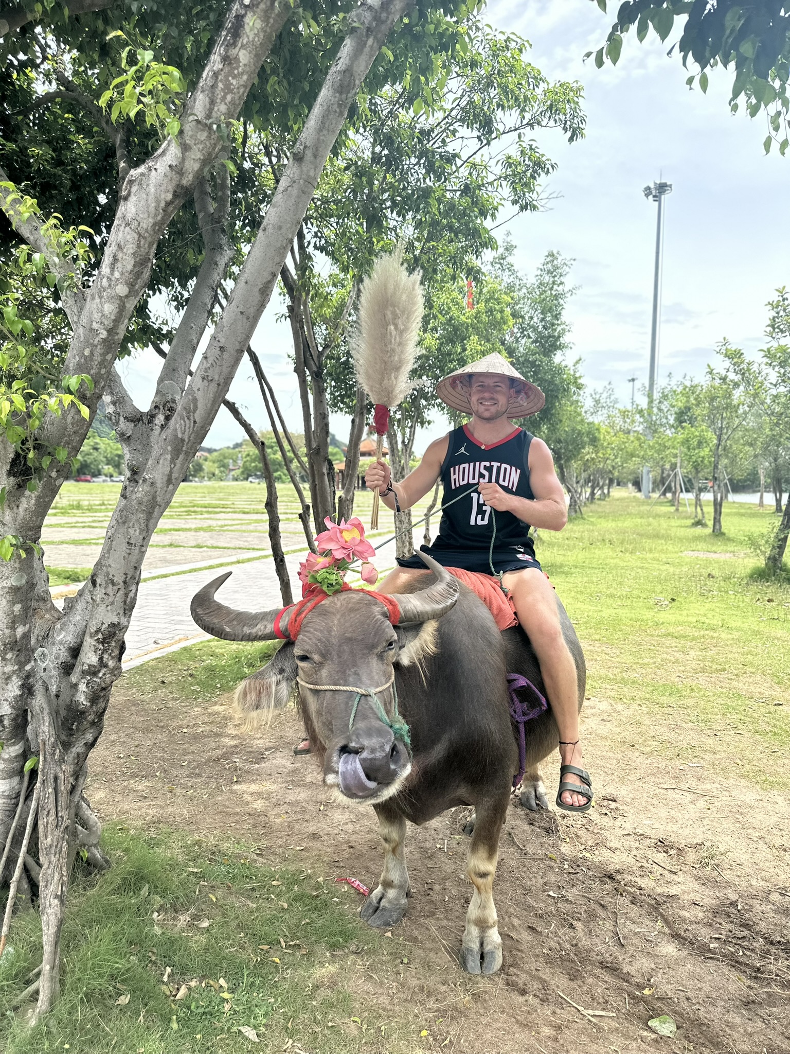 Scenic landscape of Tam Coc from above